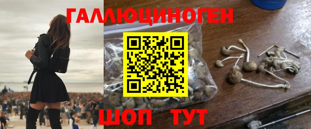 Братск  Марихуана  Вход с VPN  Кокаин  ГАШ  Гашиш  Мефедрон  